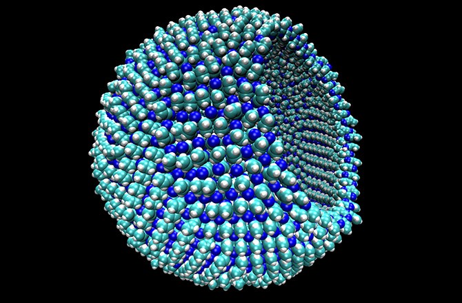 a membrana celular, que teria o tamanho aproximado de um vírus (Foto: reprodução)