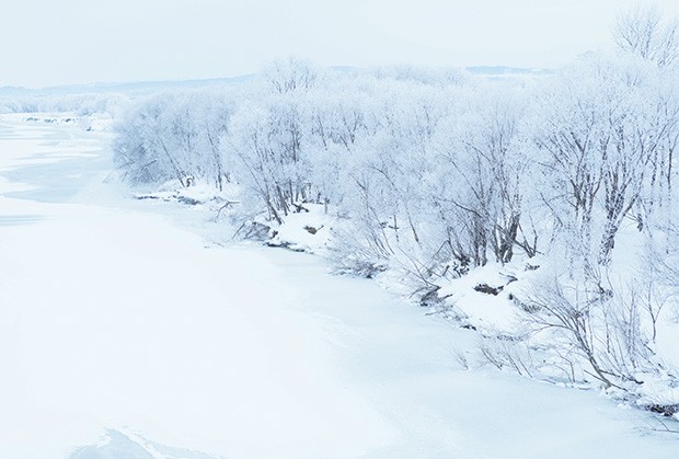 o inverno rigoroso de hokkaido pinta  o chão e as árvores de gelo (Foto: Shinpei Kato e Shin Watanabe)