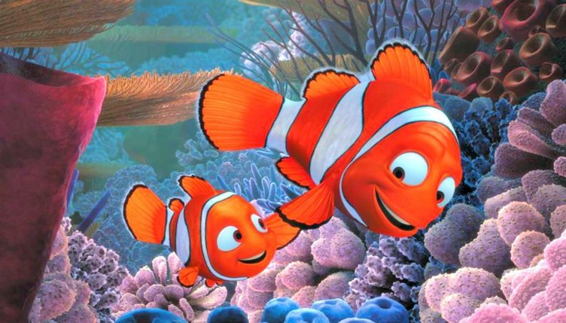 Nemo e o pai, Marlin, são da espécie peixe-palhaço mas não são tão engraçados assim... (Foto: Reprodução)