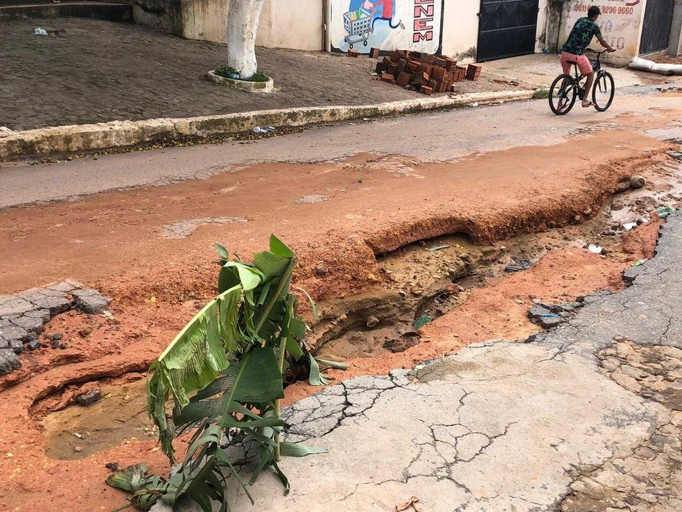 PopulaÃ§Ã£o plantou diversas bananeiras pela rodovia para chamar atenÃ§Ã£o aos buracos da via. â€” Foto: Mateus Ferreira