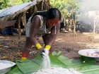 Feiras indígenas promovem a preservação de sementes e mudas
