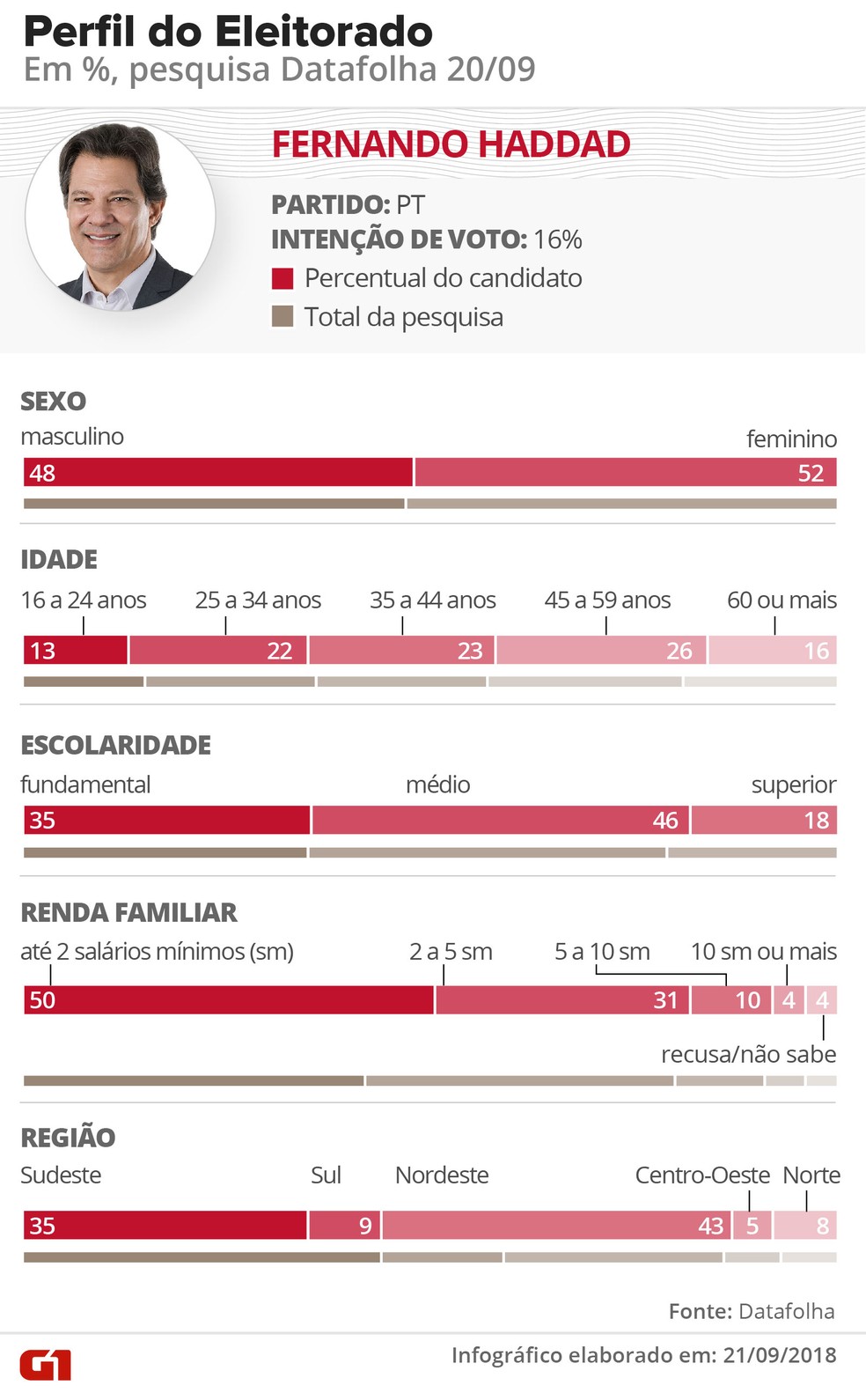 Pesquisa Datafolha - Perfil do eleitorado de Haddad, conforme divisão dentro das faixas de gênero, idade, escolaridade, renda e região — Foto: Arte / G1
