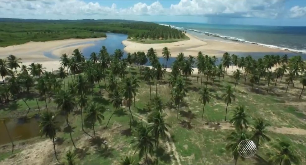 G1 Lista Praias Do Badalado Litoral Norte Da Bahia Que Voce Nao Pode Deixar De Visitar Confira Avanca G1