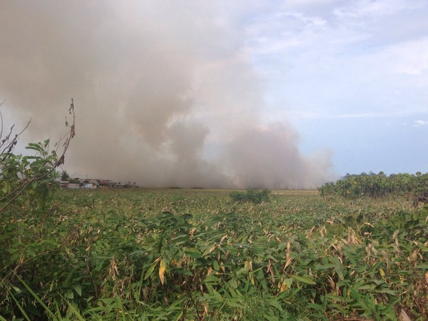 incendio pantanal macapá amapá (Foto: Jessica Alves/G1)