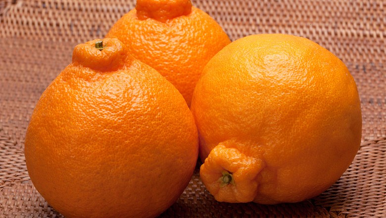 Decopom, variedade da tangerina poncã muito apreciada pela comunidade japonesa (Foto: Wikimedia Commons)