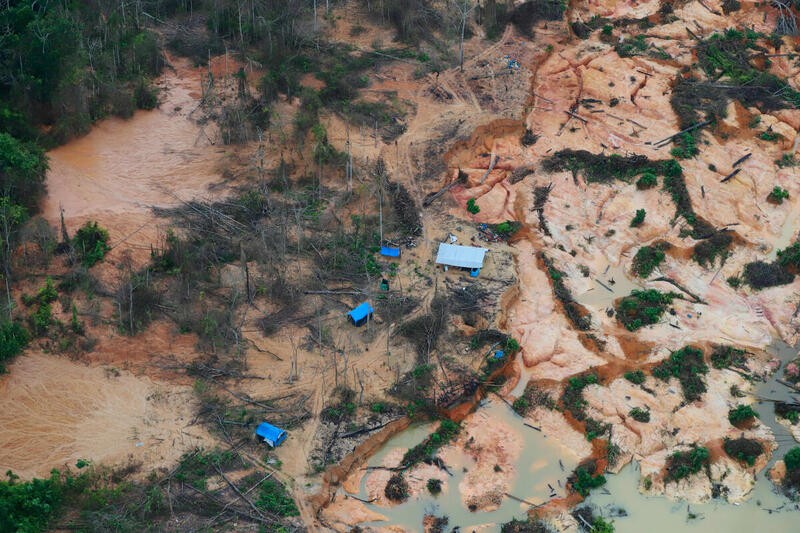 Decreto do governo do Pará reforça segurança em 15 municípios onde há garimpo e desmatamento ilegal