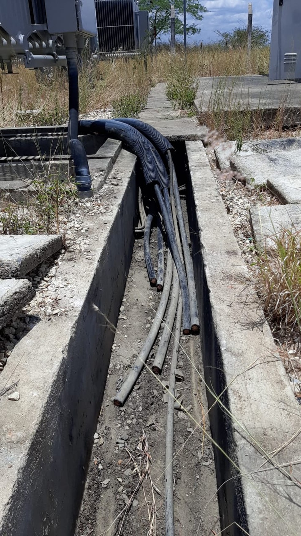 Ação de criminosos em estação elevatória da Casal deixa 18 cidades de Alagoas sem água — Foto: Casal