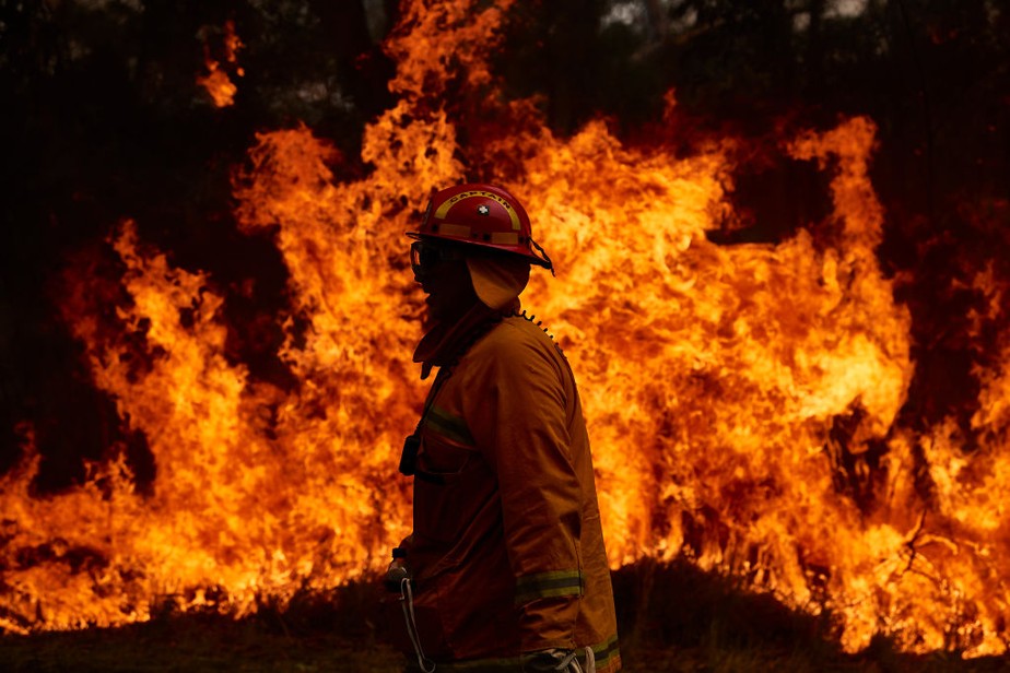 Incêndios florestais mais frequentes e intensos são consequência de um mundo em aquecimento