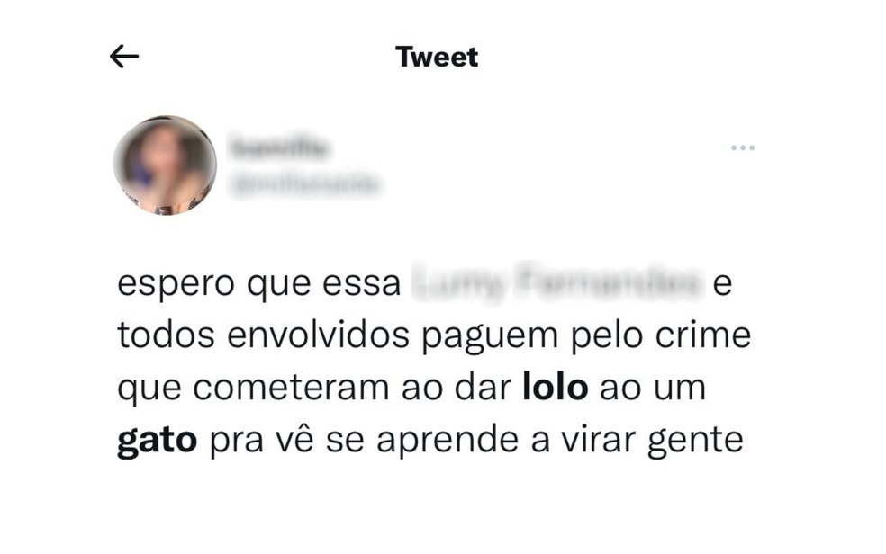 Internautas se revoltam com vídeo do gatinho, em Anápolis — Foto: Reprodução/Twitter