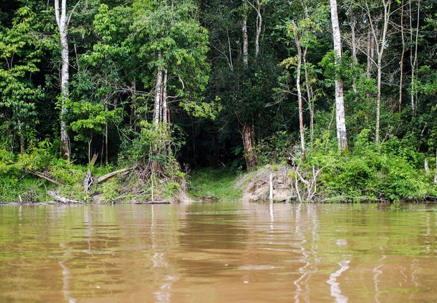 Amazônia (Foto: Marcelo Camargo/Agência Brasil)