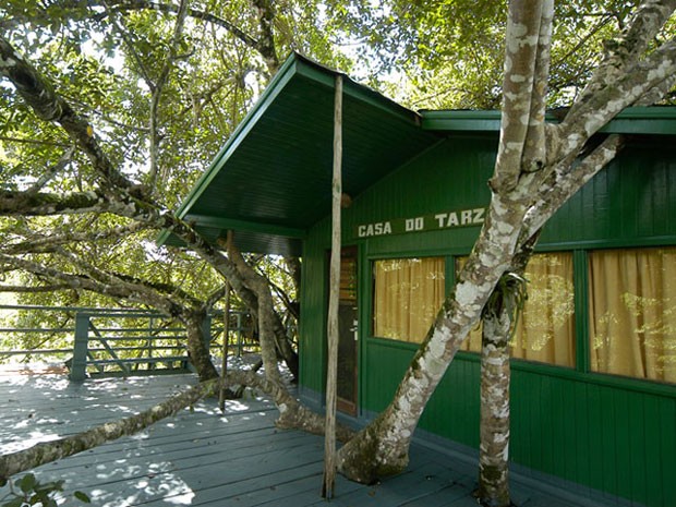 Casa na árvore do hotel Ariaú Towers, na Amazônia (Foto: Divulgação/Ariaú)