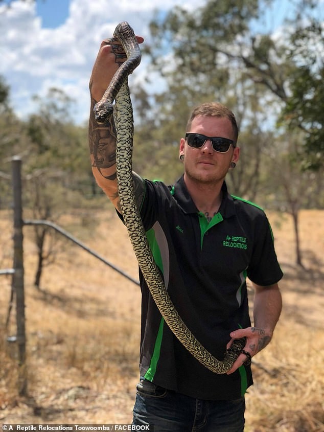 Alex Reynolds segurando uma cobra marrom (Foto: Reprodução Facebook)