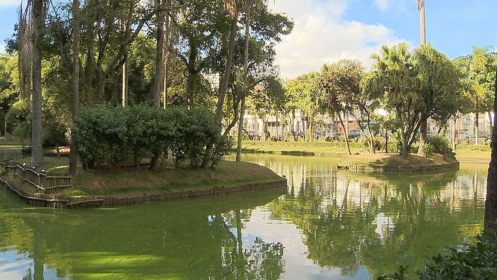Museu Mariano Procópio ficará fechada por precaução (Foto: Reprodução/TV Integração)