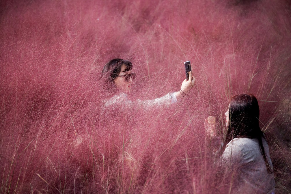 13 de outubro - Mulher faz uma selfie enquanto sua amiga retoca a maquiagem em um campo com vegetação rosa em um parque de Hanam, na Coreia do Sul — Foto: Kim Hong-Ji/Reuters