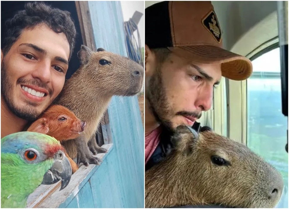 Agenor Tupinambá e a capivara Filó — Foto: Instagram