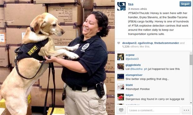 Conta mostra ação dos cachorros na busca e apreensão de objetos (Foto: Instagram TSA)