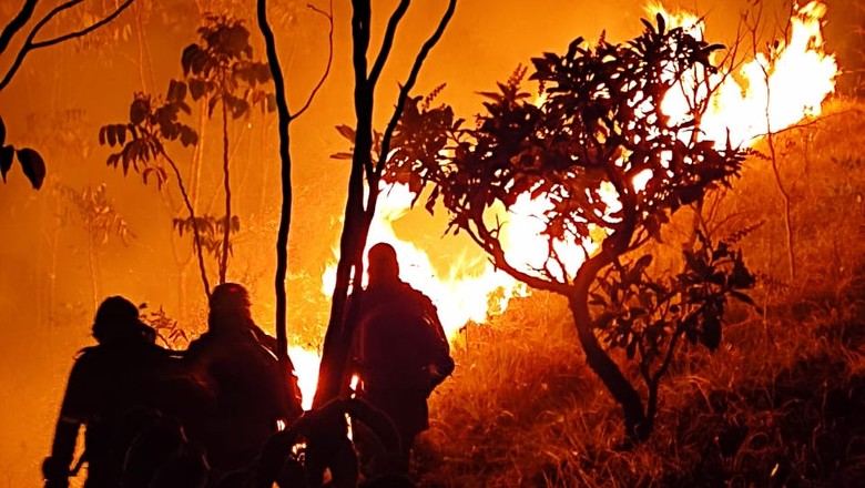Incêndios na Chapada dos Veadeiros atinge propriedades rurais e avançam até o Parque Nacional (Foto: Acervo pessoal/Ivan Anjo Diniz)