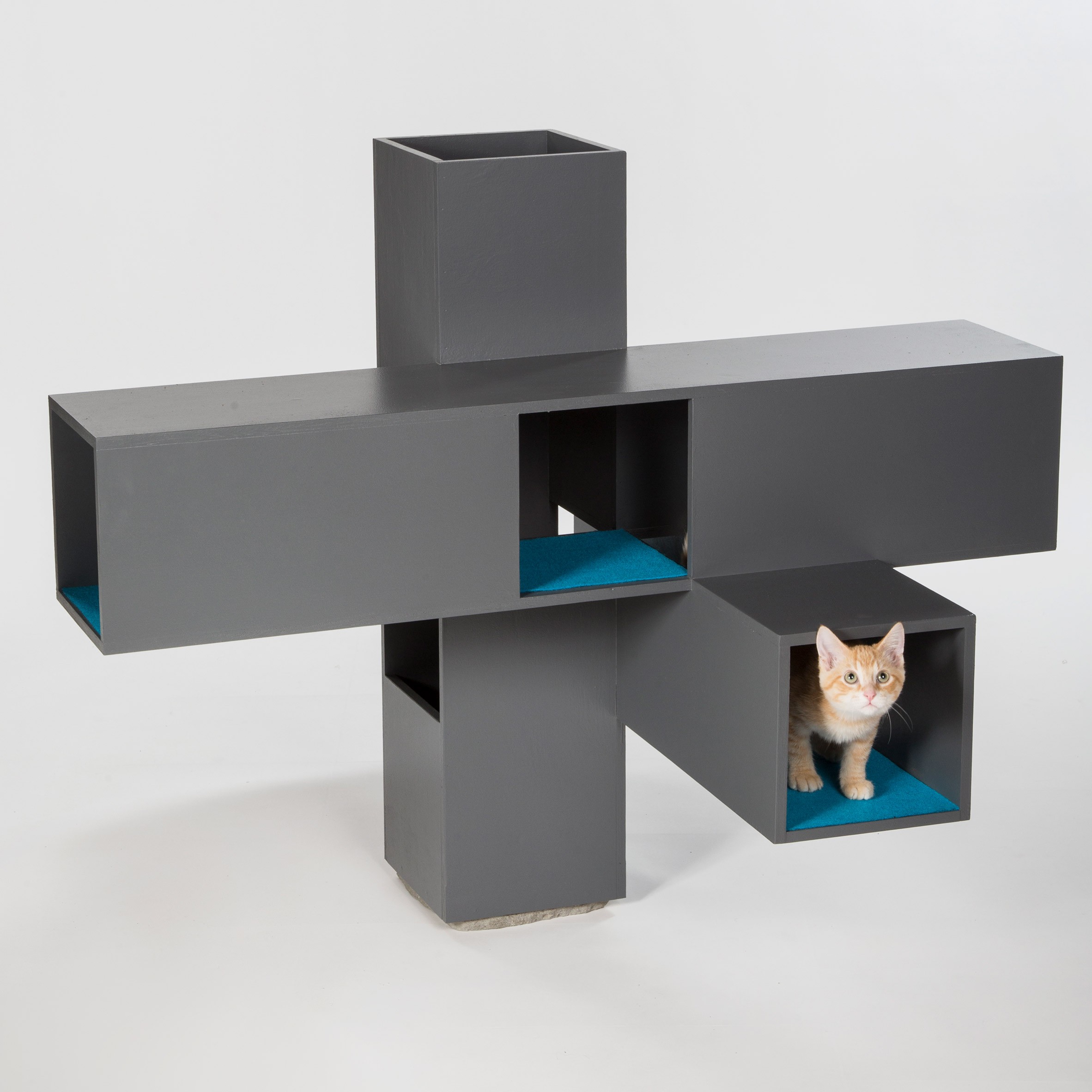 8 casas para gatos que são obras-primas da arquitetura  (Foto: Divulgação)