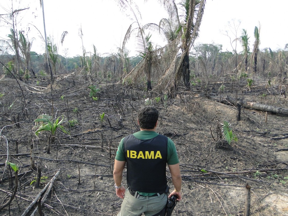 Base do Ibama em HumaitÃ¡ foi destruÃ­da em 2017; outra em Tabatinga foi fechada em 2018 â€” Foto: Ditec_Ibama/AM