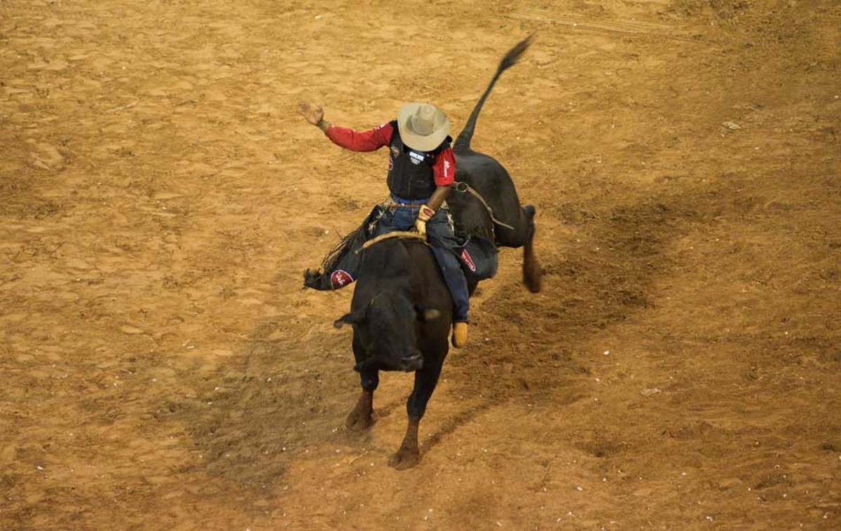 Governo libera a realização de rodeios e exposições agropecuárias, em ...