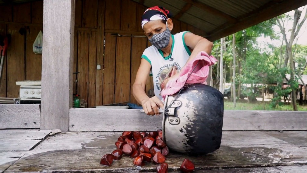 Produção de óleo de andiroba por mulheres extrativistas — Foto: Globo Repórter