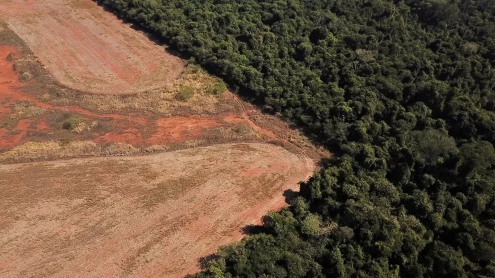 Floresta Amazônica e o efeito de borda, onde trecho de floresta sofre desequilíbrio da área desmatada — Foto: Reuters