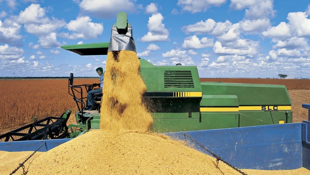 Produção de grãos da Bunge (Foto: Divulgação)