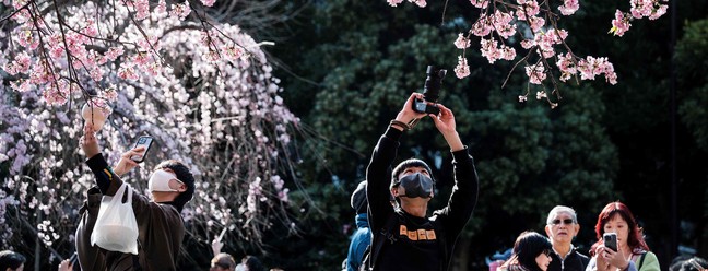 Visitantes tiram fotos no Parque Ueno, em Tóquio, Japão, diante das primeiras flores de cerejeira em 14 de março de 2023 — Foto: Richard A. Brooks / AFP