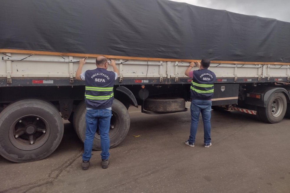 Craga de soja foi apreendida em parceria com a Polícia Rodoviária Federal (PRF). — Foto: Ascom Sefa