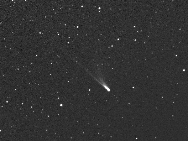 O cometa 96P Machholz, o pai da chuva de meteoros Delta Aquárides, foi descoberto em 12 de maio de 1986. Esta imagem de 2007 é da câmera HI-2 da espaçonave STEREO-A. (Foto: Wikimmedia Commons)