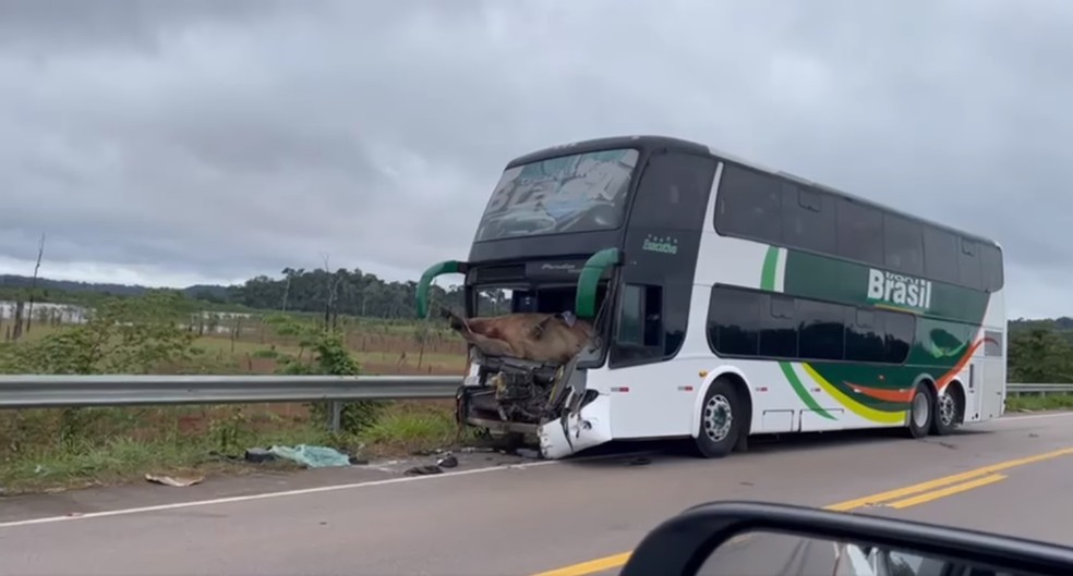 Boi foi parar dentro de ônibus durante colisão na BR-364 — Foto: Amadeus Hermes/Facebook