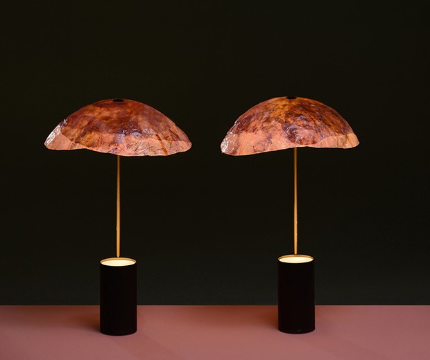 Luminária sustentável é feita de repolho roxo (Foto: Divulgação)