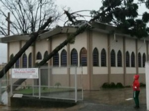 Churra derrubou árvore em igreja de Jundiaí (Foto: Valdemar Roque da Silva/Arquivo pessoal)