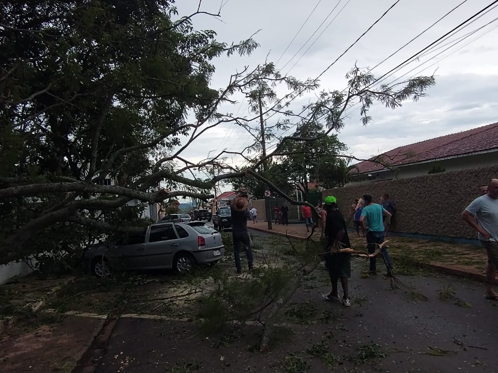 Defesa Civil, prefeitura e voluntários cortaram árvore para liberar trânsito em Bocaina — Foto: Defesa Civil/Divulgação