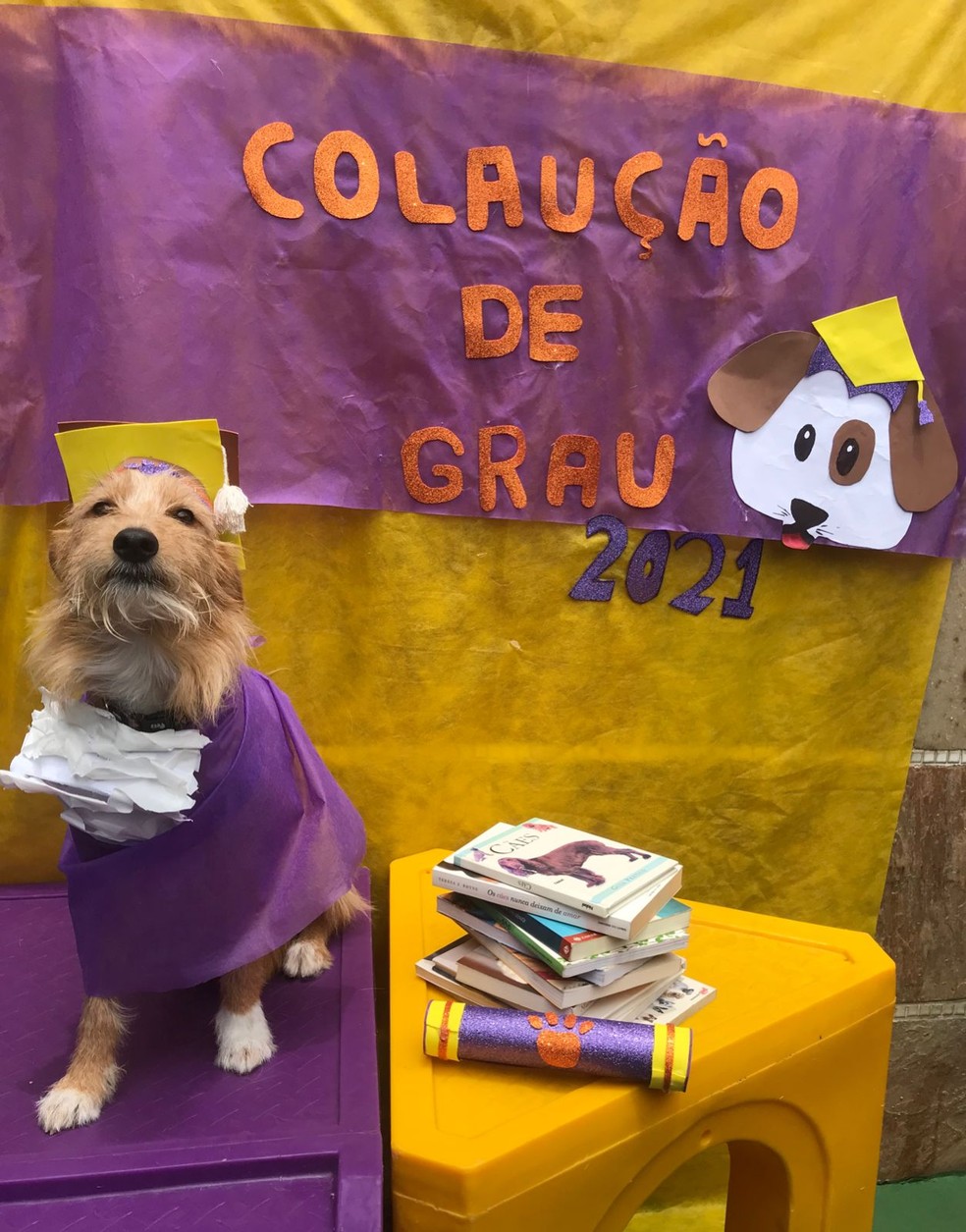 Auberto Einstein na 'colaução' de grau — Foto: Matilha Real/Arquivo pessoal