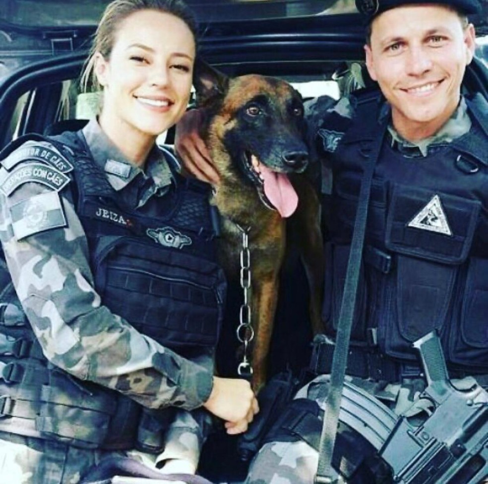 Na novela 'A Força do Querer', Aeron era um cachorro policial que acompanhava a major Jeiza, interpretada por Paolla Oliveira — Foto: Reprodução/Redes sociais