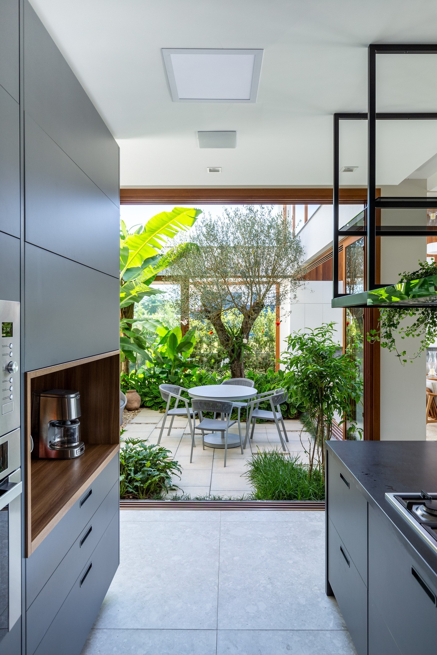 5 plantas que vão bem em qualquer ambiente da casa (Foto: Marcelo Donadussi)