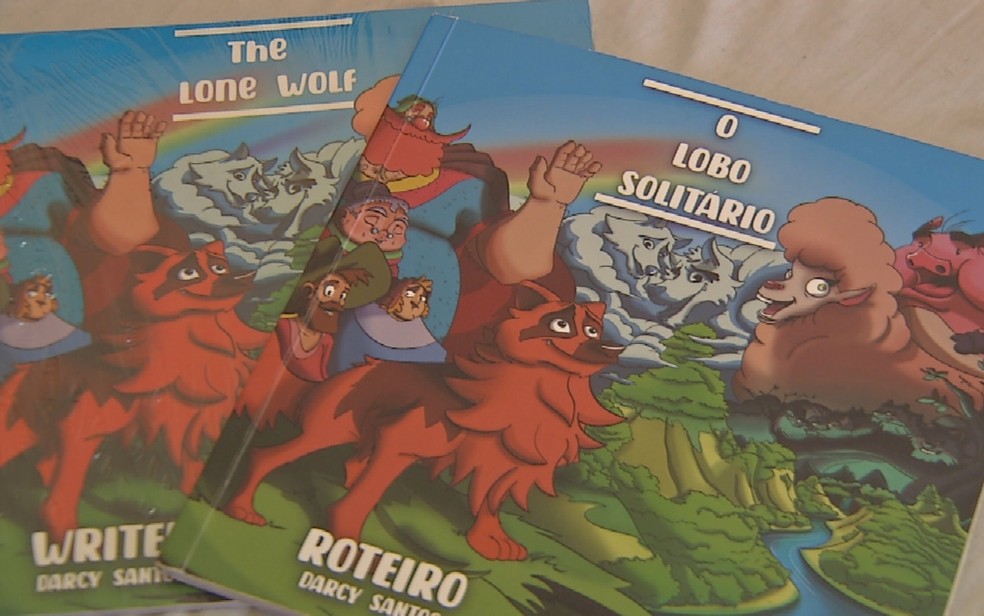Livro 'O Lobo Solitário', escrito pela empregada doméstica Darcy Santos, em Valparaíso de Goiás — Foto: Reprodução/TV Anhanguera