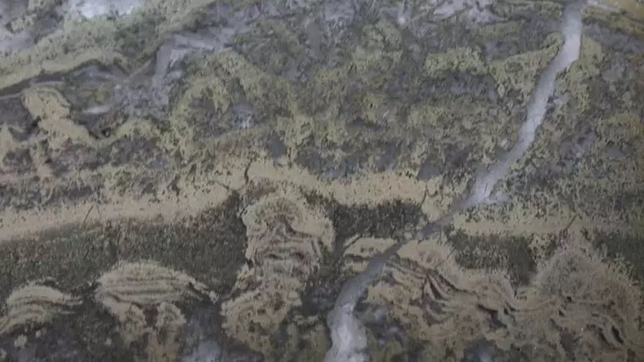 Formação Dresser, na Austrália, onde foram encontradas as rochas de 3,5 bilhões de anos