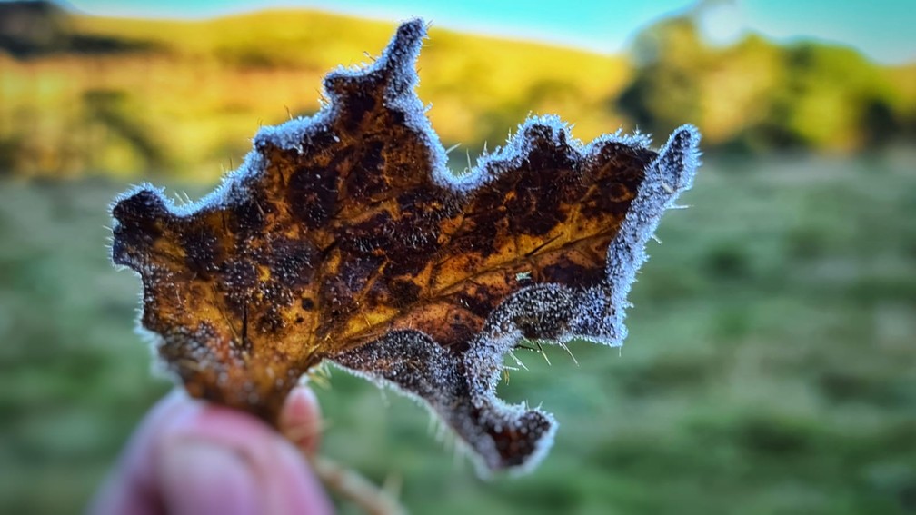 Paisagem modifica com a geada nesta manh&atilde; de sexta-feira em S&atilde;o Joaquim &mdash; Foto: Mycchel Legnaghi/ S&atilde;o Joaquim Online