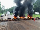 Sem poder trabalhar, funcionários da Araupel bloqueiam rodovia no Paraná