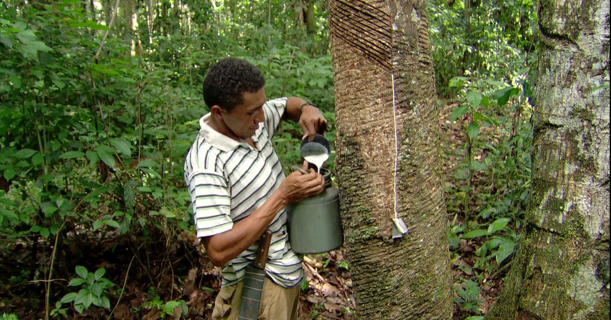 Exemplos De Atividades Extrativistas Que Causam Danos Ao Meio Ambiente