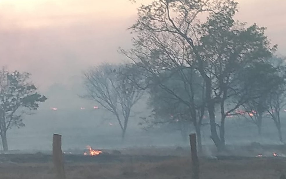 Incêndio atinge região da Chapada dos Veadeiros em Goiás— Foto: Reprodução/TV Anhanguera