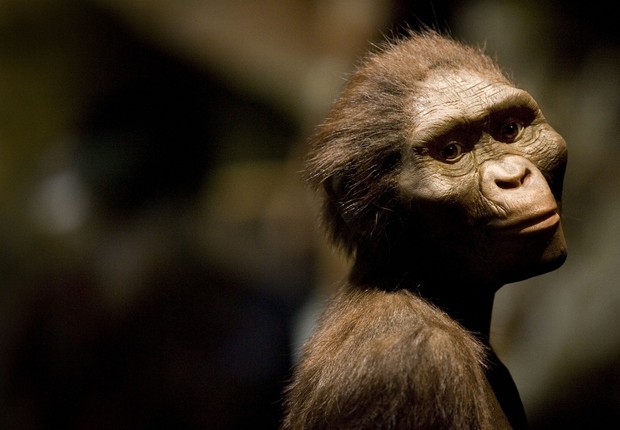  Lucy, o antepassado mais conhecido do ser humano (Foto: Getty Images)
