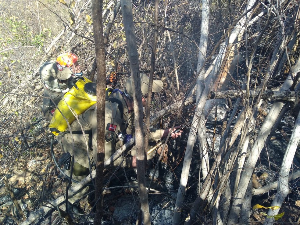 Bombeiros trabalham no local para tentar extinguir fogo totalmente, na Serra Prera, Sertão da PB — Foto: Divulgação/Corpo de Bombeiros