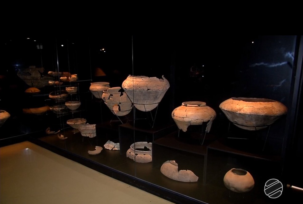 Para a chefe do Museu de Arqueologia, conhecer o passado é saber um pouco das origens de cada região. — Foto: Reprodução/TV Morena