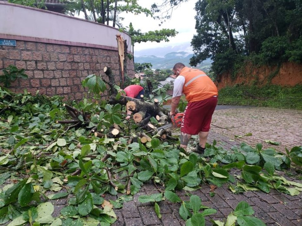 Defesa Civil de Taió registrou queda de árvores  — Foto: Prefeitura de Taió/ Reprodução