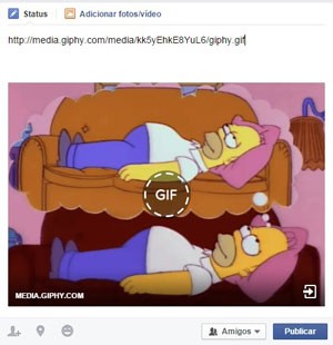 Facebook começa a permitir a exibição de GIFs dentro da rede social. (Foto: Reprodução/Facebook)
