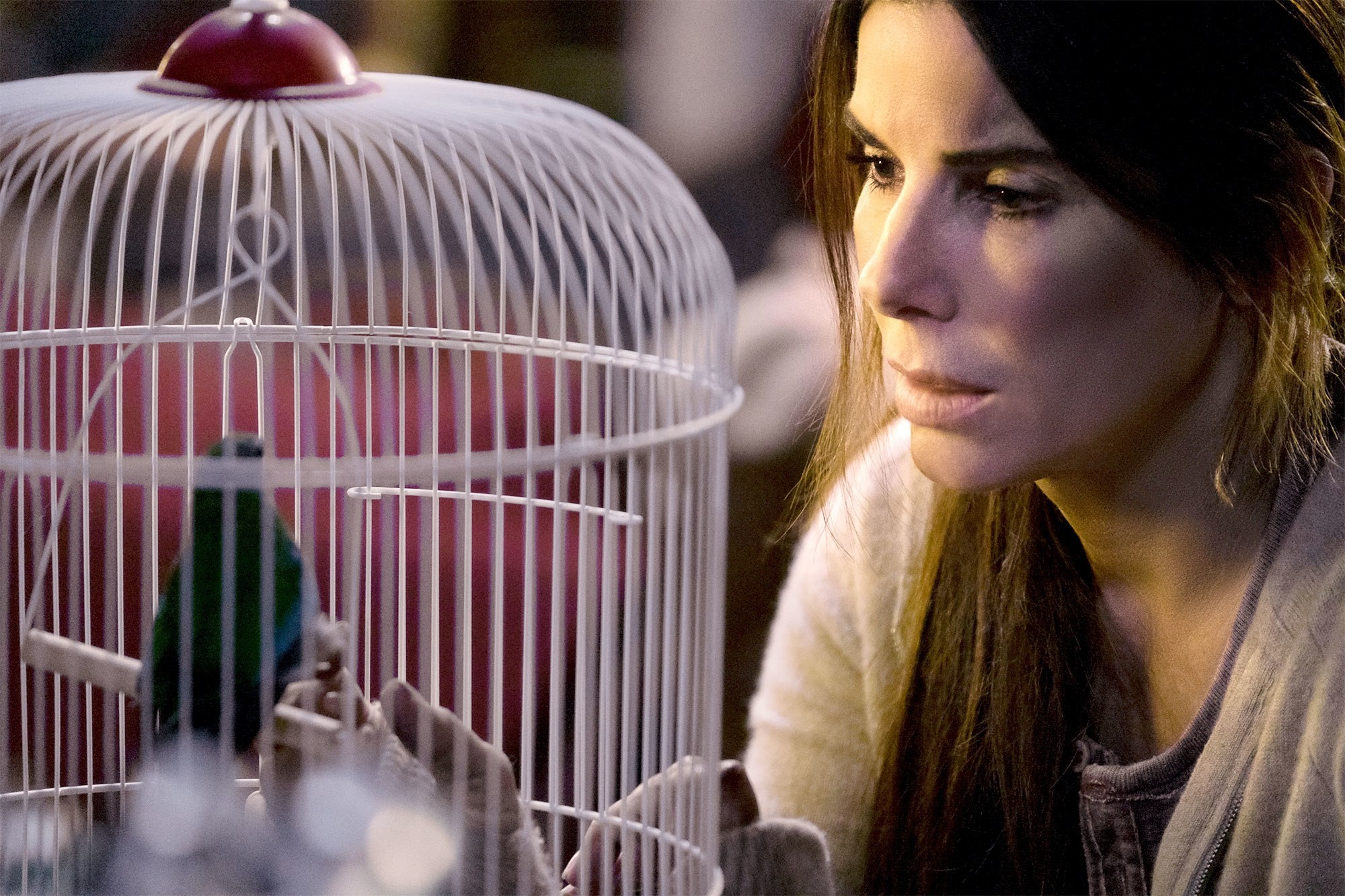 Personagem de Sandra Bullock será tema principal da sequência do best-seller 'Bird Box' (Foto: divulgação)