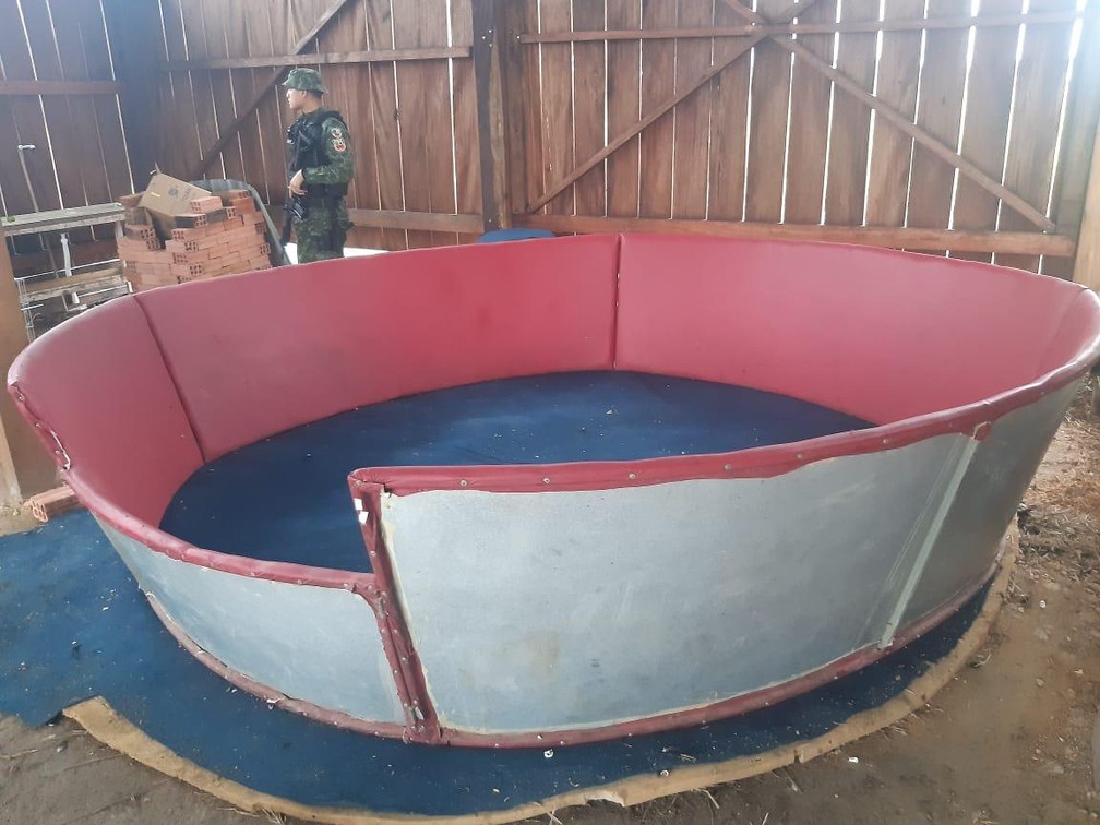 Arena para rinha de galos apreendida em propriedade no interior do AM — Foto: Divulgação